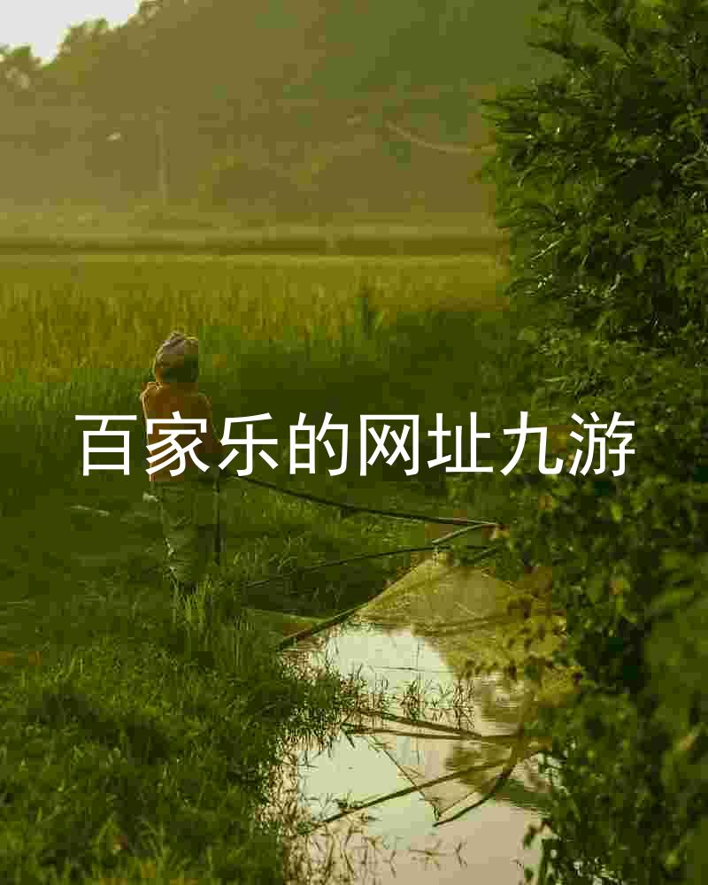 百家乐的网址九游